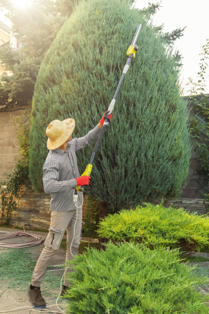  Poulsbo, WA Tree Services Pros