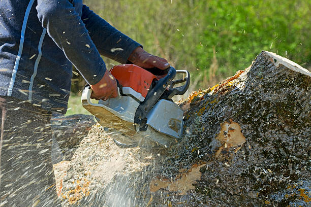 Best Lawn Irrigation Installation and Maintenance  in Poulsbo, WA